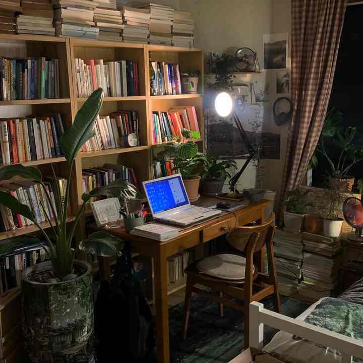 ナチュラルな色調の書斎、木製の本棚と机、複数の植物が配置された雰囲気のあるインテリア