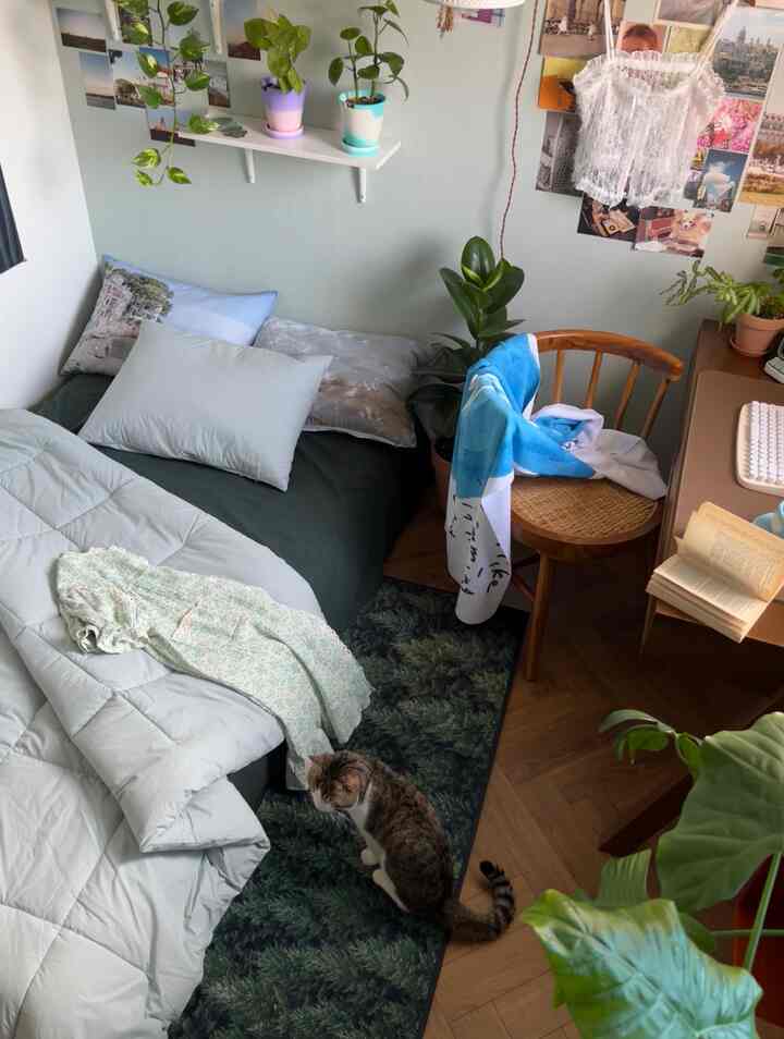 Green and beige toned small bedroom featuring natural plants, bedding, and a desk with chair creating a cozy atmosphere