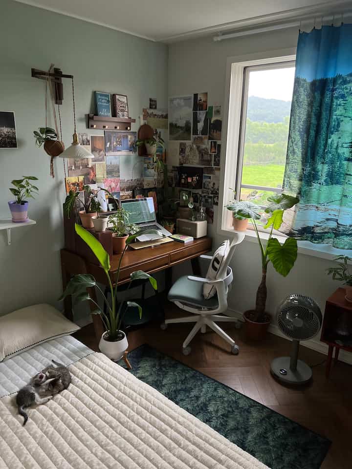 Natural study space with white and wood tones featuring desk, chair, multiple plants, and two cats playing on the bed, creating cozy atmosphere