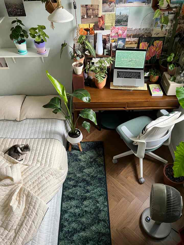 Natural wood tones and green plants accent a cozy single household bedroom with a home office setup