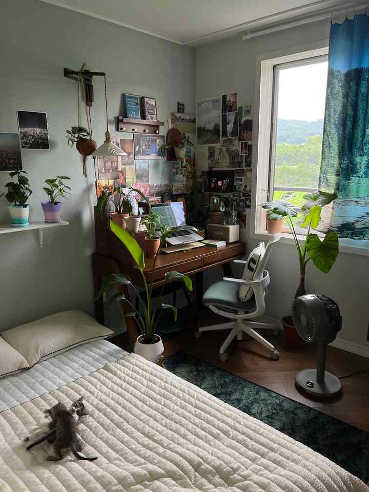 Beige bedding and green plants fill a small room home office, with two cats playing on the bed near the window