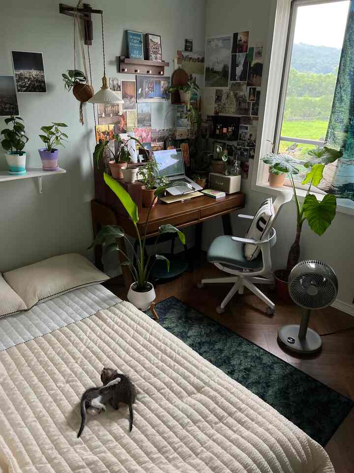 Natural tone bedroom and home office space featuring cats and abundant plants with a cozy atmosphere
