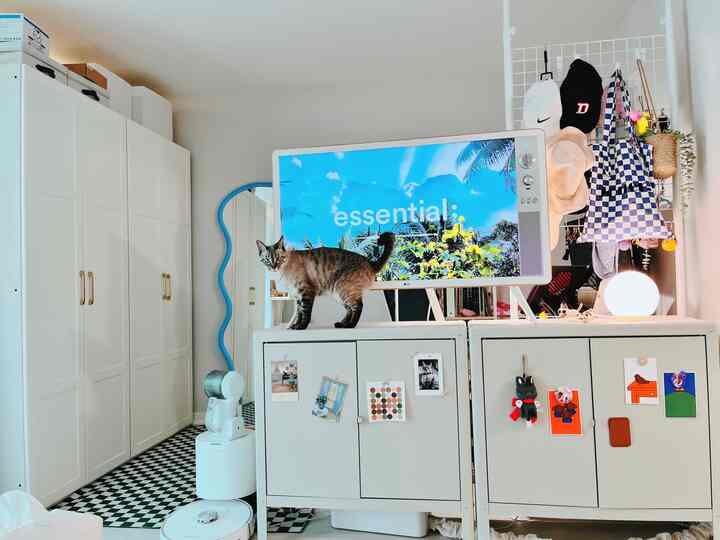 A clean living room in white and natural tones, featuring a cat on a TV stand cabinet
