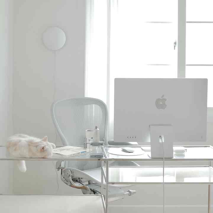 Bright white-toned home office space featuring Herman Miller Aeron chair and Apple iMac desk with a cat resting on the desk's left side