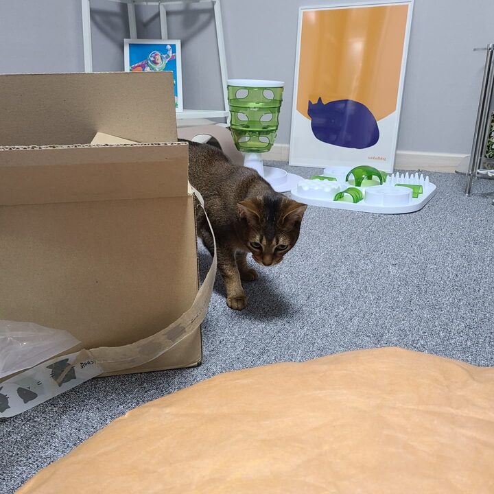 short form carousel card thumbnail