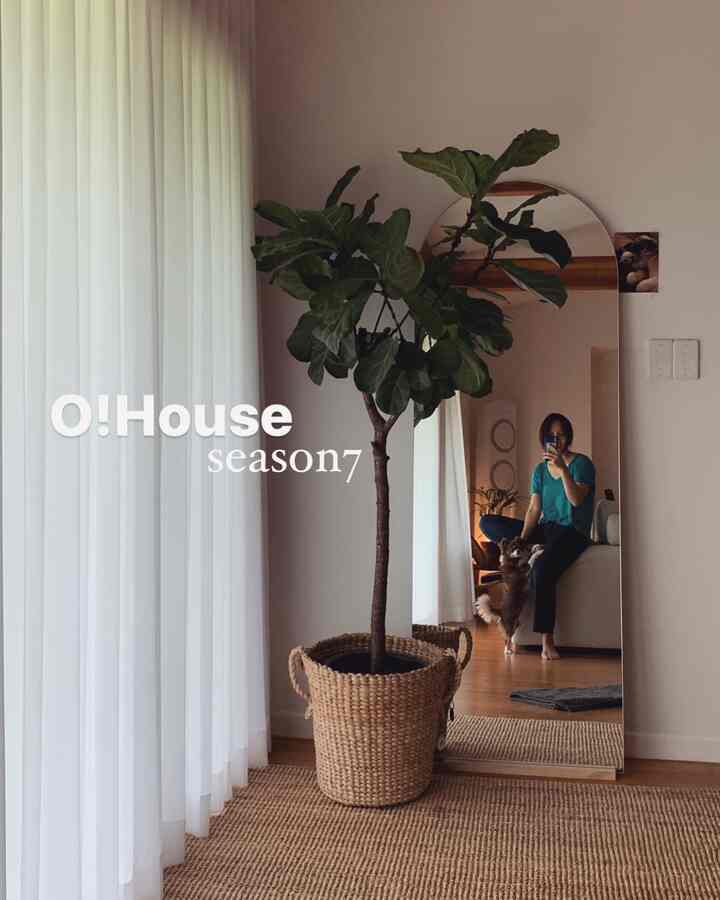 Natural tone living room featuring sheer curtains, large arch mirror, a potted plant, and a pet for a cozy vibe