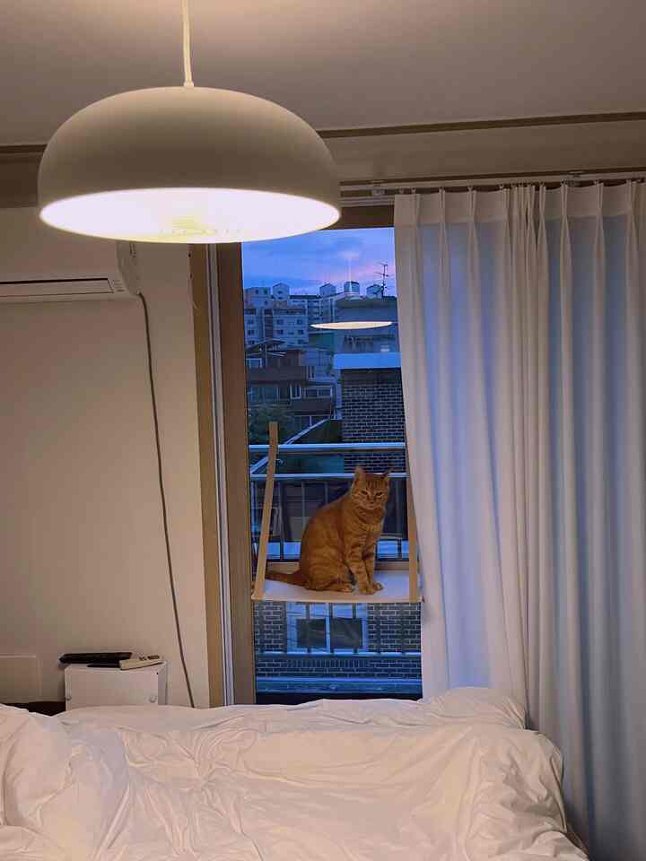 折りたたみ 窓用 キャットタワー［2色］を使ったコーディネート 3