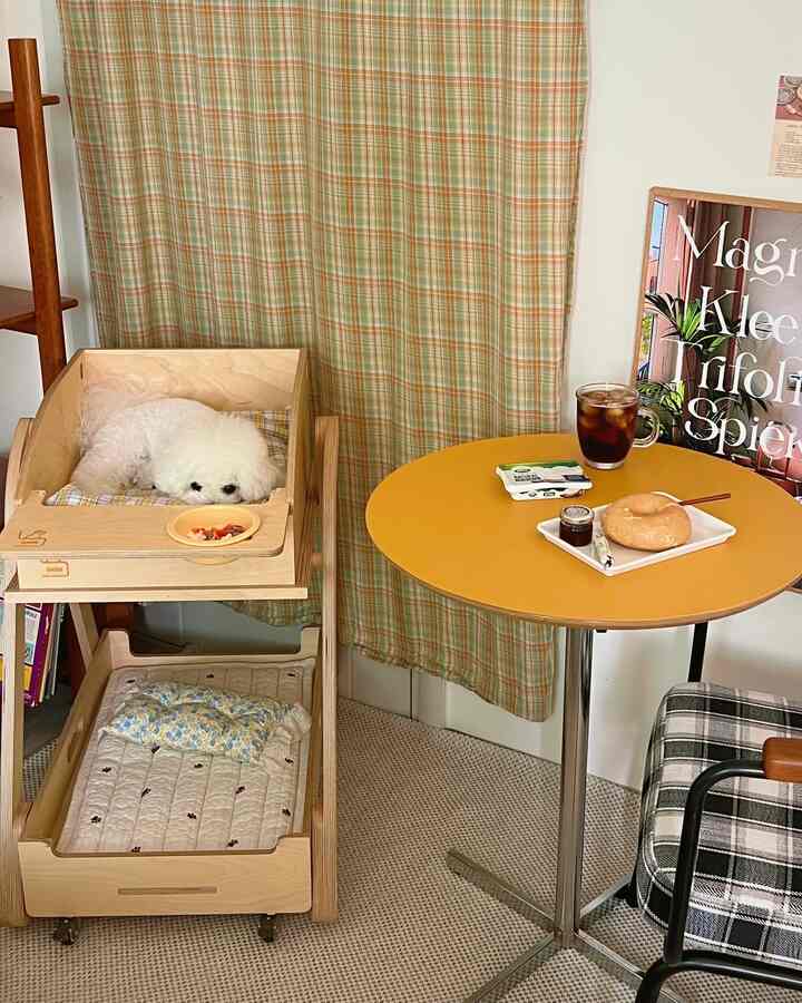 Cozy interior space featuring green and orange plaid curtains, a yellow round table, and a white dog resting in a wooden pet house