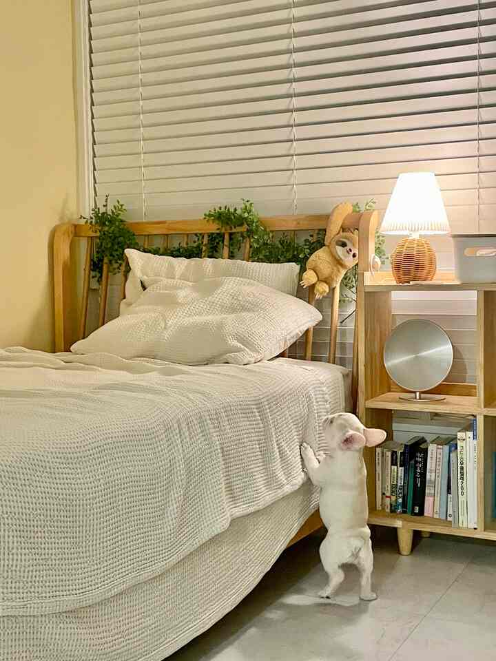 原木寝具アイボリーブランケットのように似合う私たちのダニが夜にスタンドをつければ寝る時間だと分かってベッドに切って...
