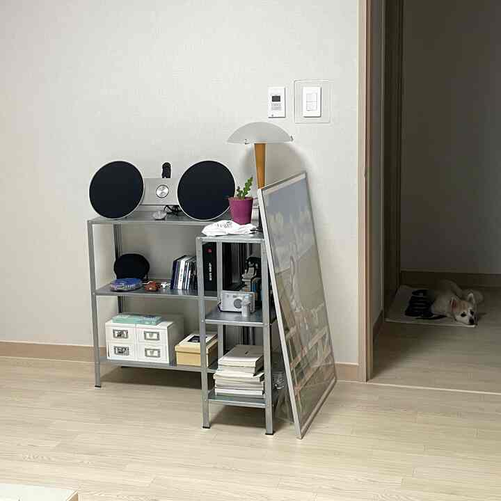 Natural-toned bedroom hobby space corner with metal shelf and lamp, cozy area featuring a small pet dog resting