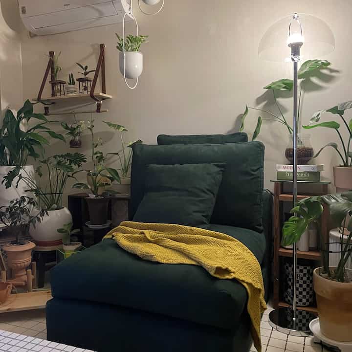 Natural living room with warm beige walls, various plants, a green modular sofa, and wooden furniture