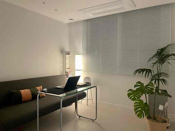White and gray toned home office study featuring a sleek desk, sofa, floor lamp, and plants in a cozy setting