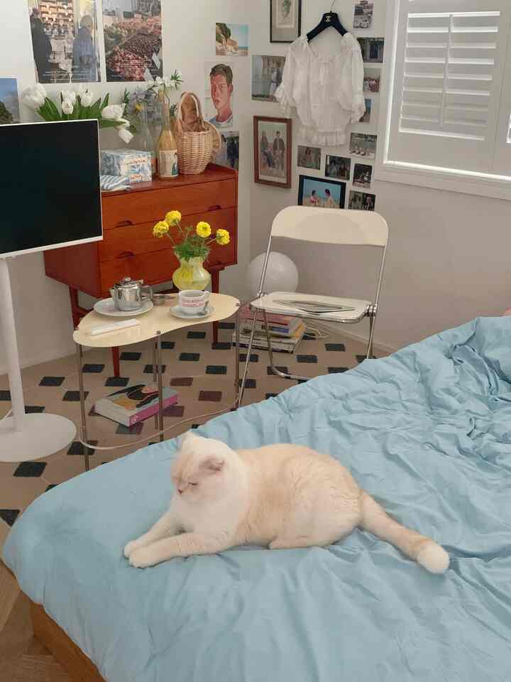 パウダーブルーの寝具と白い壁が調和した寝室、ベッドの上でくつろぐ猫がいる居心地の良いモダンな雰囲気