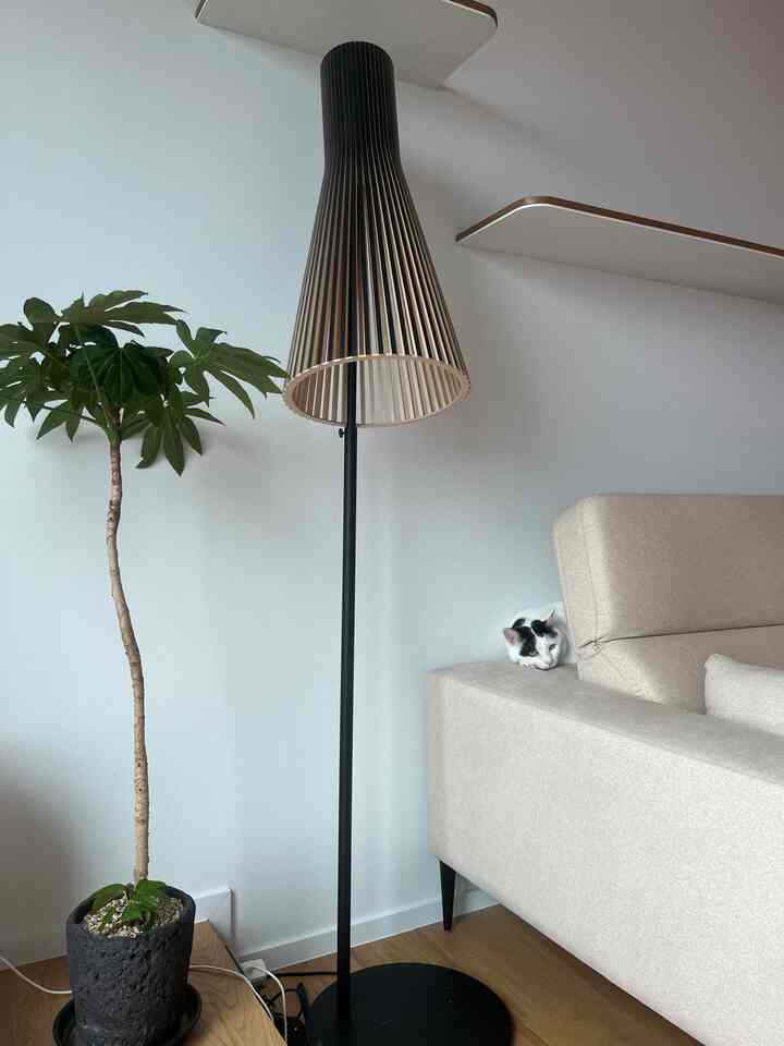 A cozy living space with white walls and natural-toned sofa, featuring a floor lamp and large leafy plant, with a resting cat on the sofa armrest