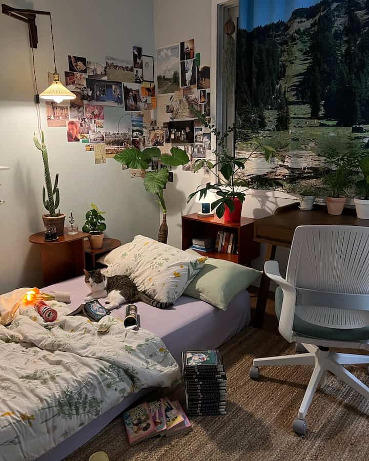 Natural-toned small study space featuring a bed with a cat and comic books, desk and plants creating a cozy atmosphere