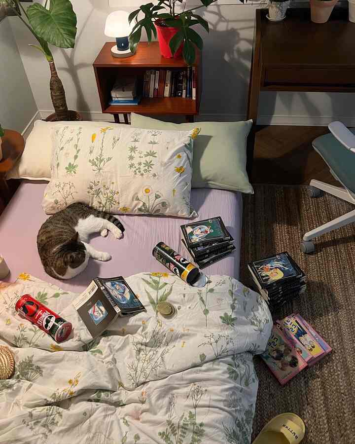 Natural tone bedroom featuring bed, bookshelf, and a cat creating a cozy atmosphere