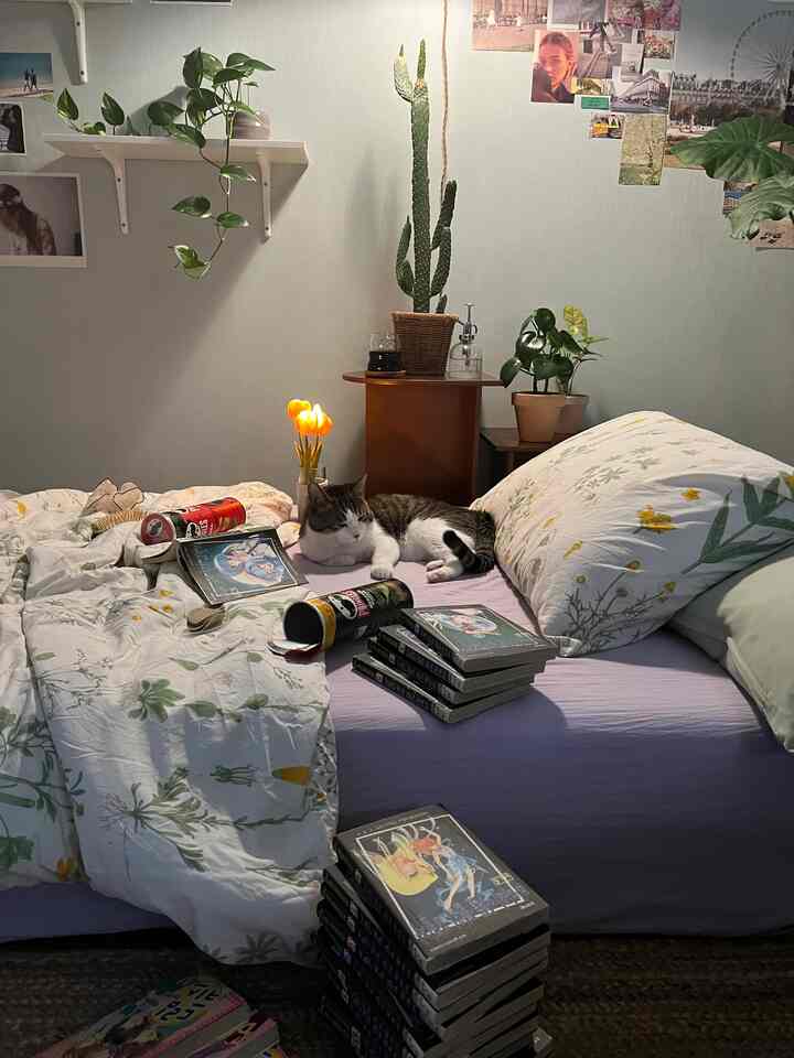Natural and white toned small bedroom featuring a bed with a cat and multiple plants in a cozy, slightly cluttered space