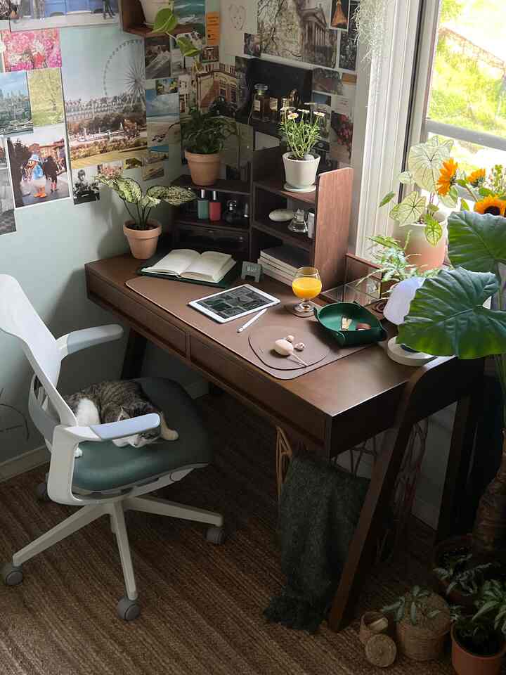 Brown-toned home office space featuring a desk and office chair with a cat resting on it, surrounded by various plants creating a cozy workspace
