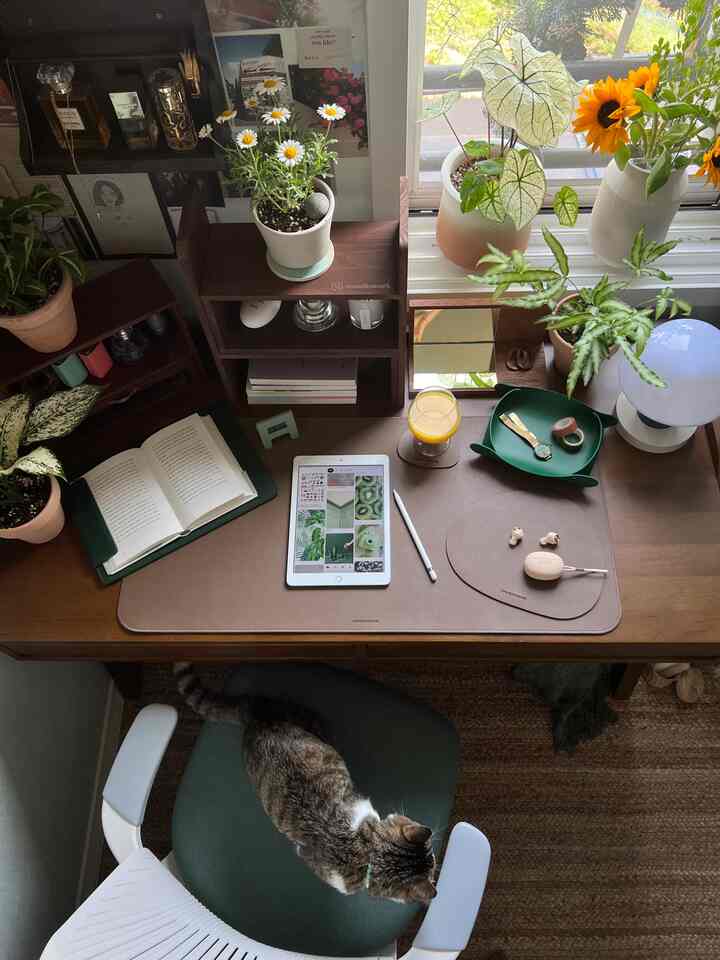 Cozy workspace with wood-toned home office desk featuring plants, books, an iPad, and a pet cat