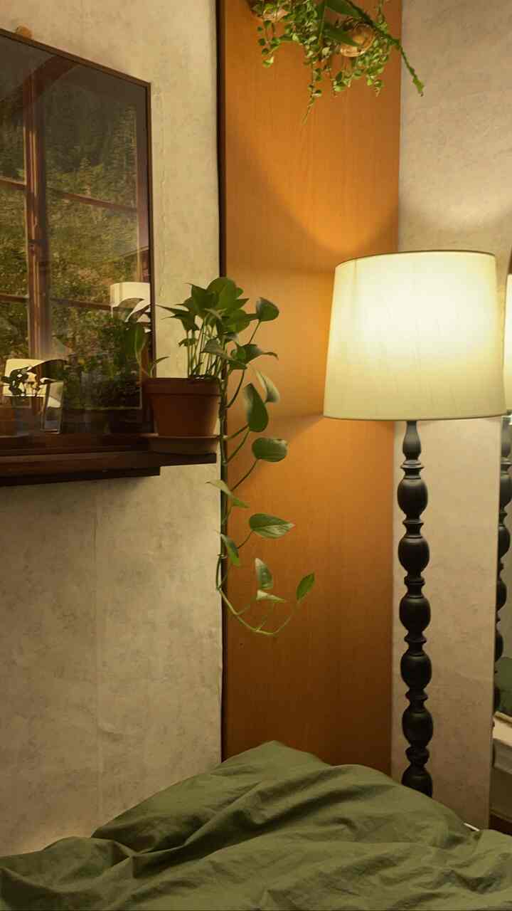 Cozy bedroom corner with green duvet, vintage-style black floor lamp, and a hanging green plant