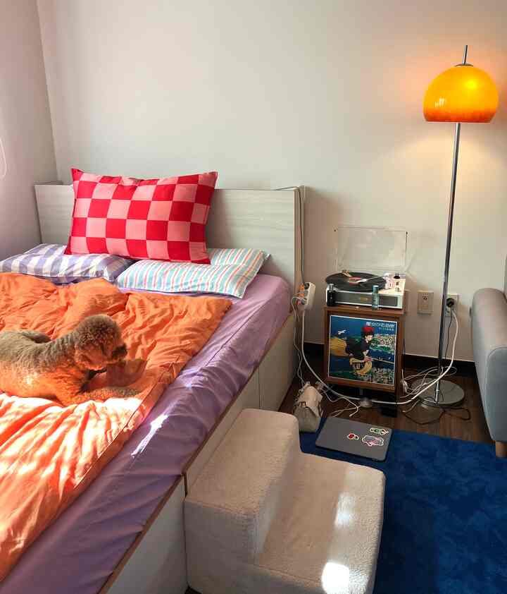 紫色の寝具とオレンジのブランケットがある寝室、ベッドの上に犬がおり、黄色いフロアランプが配置された温かみのある空間