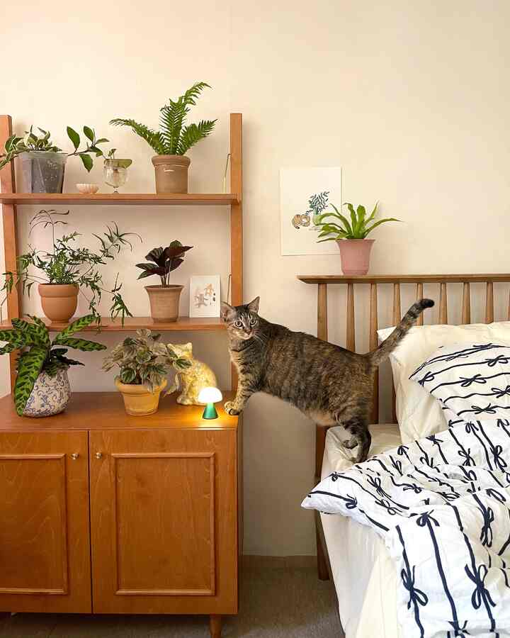 Natural tone bedroom featuring wood furniture, multiple plants, and a cat creating a cozy atmosphere