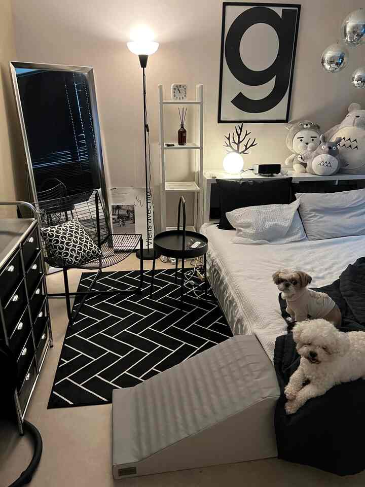 White and black toned bedroom featuring a white bed and nightstand, a black geometric patterned rug on the floor, and two dogs creating a cozy atmosphere