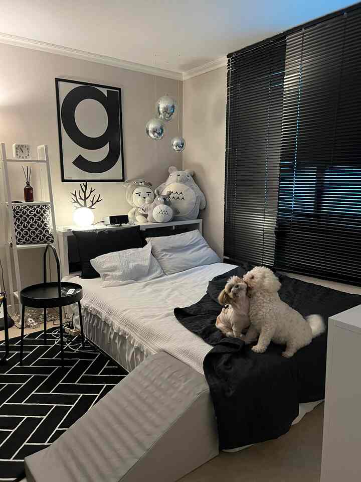 Black and white tone bedroom featuring two dogs on bed with pet steps, creating a simple modern atmosphere