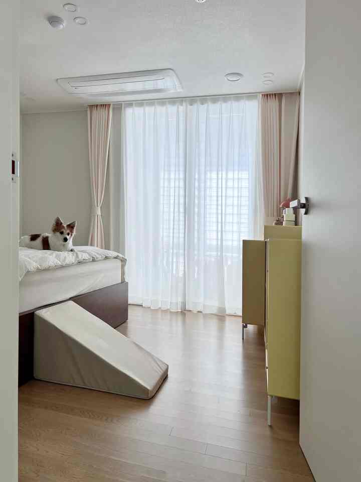 A bedroom in white and beige tones with curtains by the window and pet steps for a dog on the bed, creating a cozy space