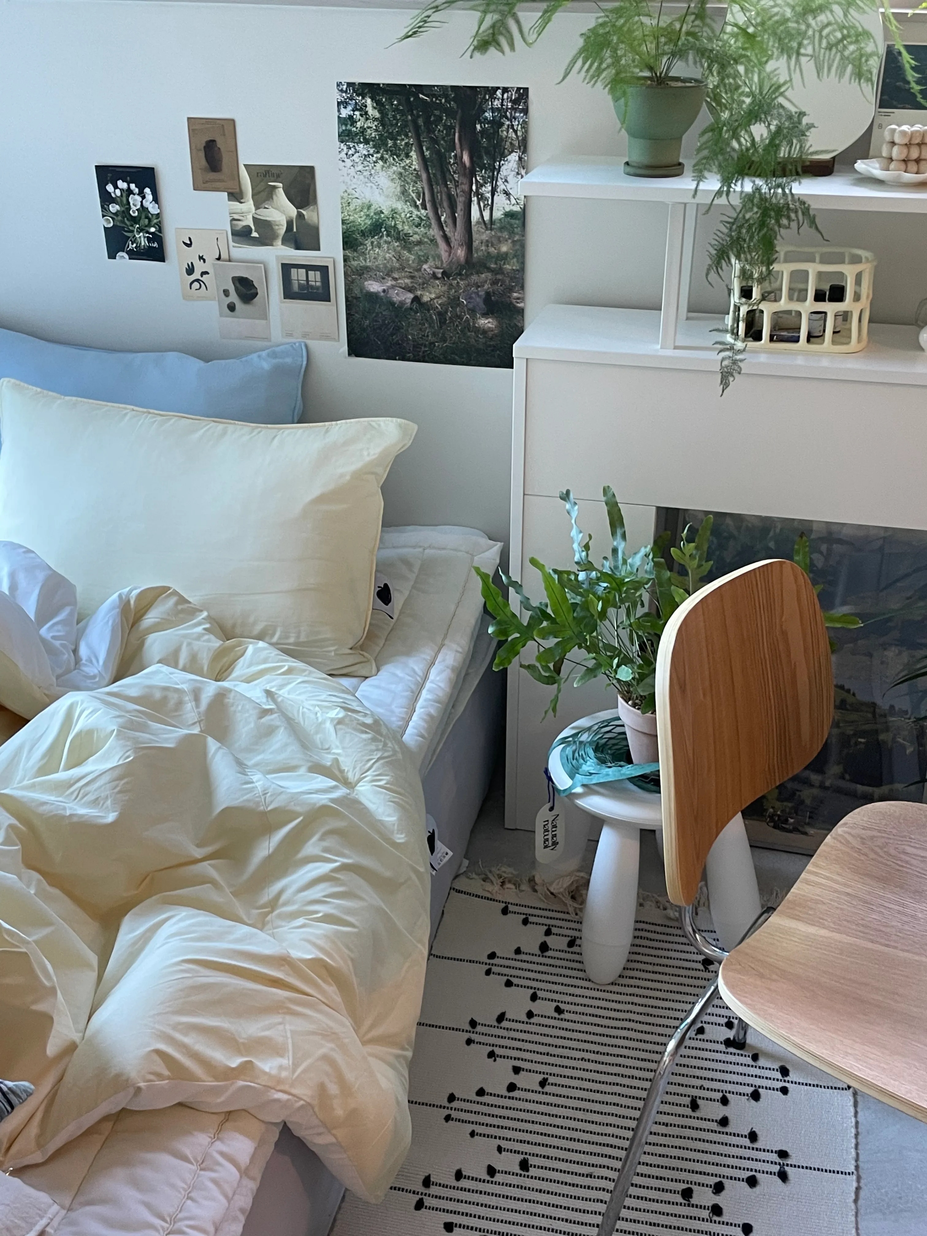 Soft Apple Blend Comforter & Pillow Set user photo