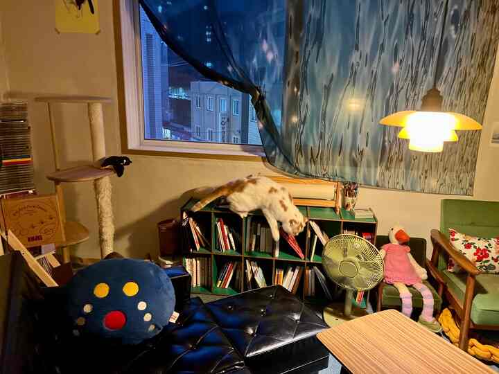 Living room in black and green tones featuring a cat tower, cat leaping over bookshelf, and vintage-style furniture with warm lighting