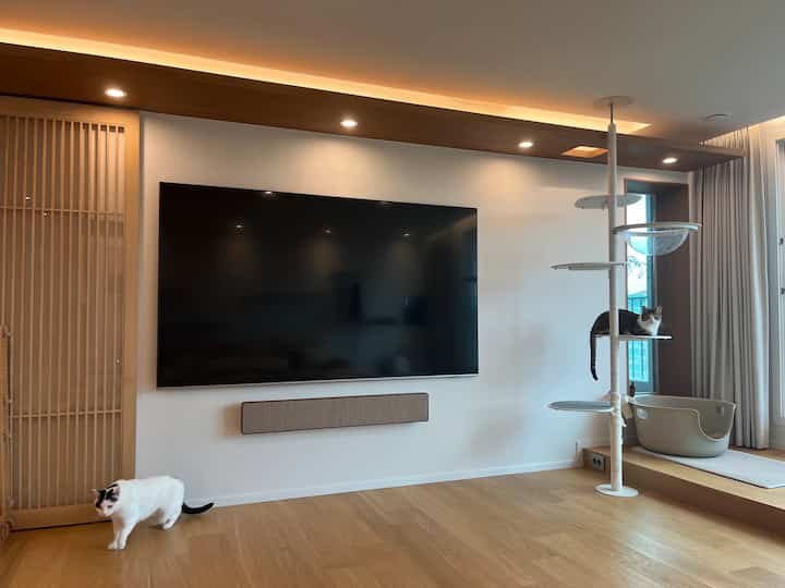 Natural wood-tone floor and modern living room featuring a large TV and cat tower in a cat-friendly space