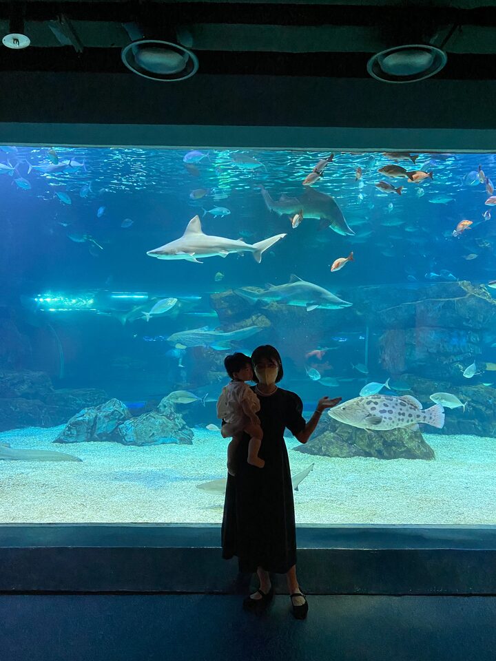 short form carousel card thumbnail