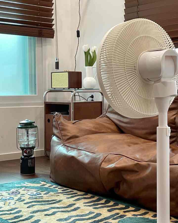 Brown-toned living room featuring a leather sofa, vintage speaker, patterned rug in a cozy atmosphere
