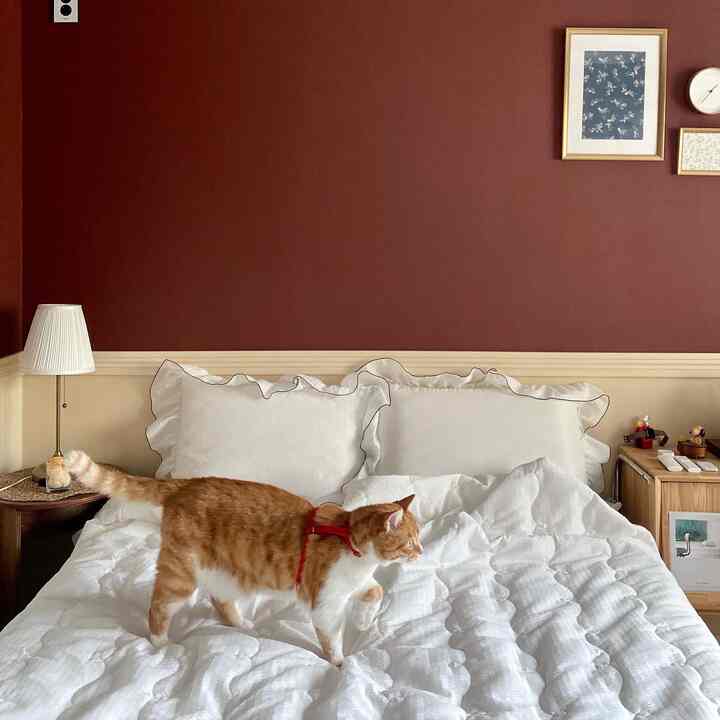 Warm bedroom with brown toned wall and white bedding, featuring a cat walking on the bed creating a cozy atmosphere