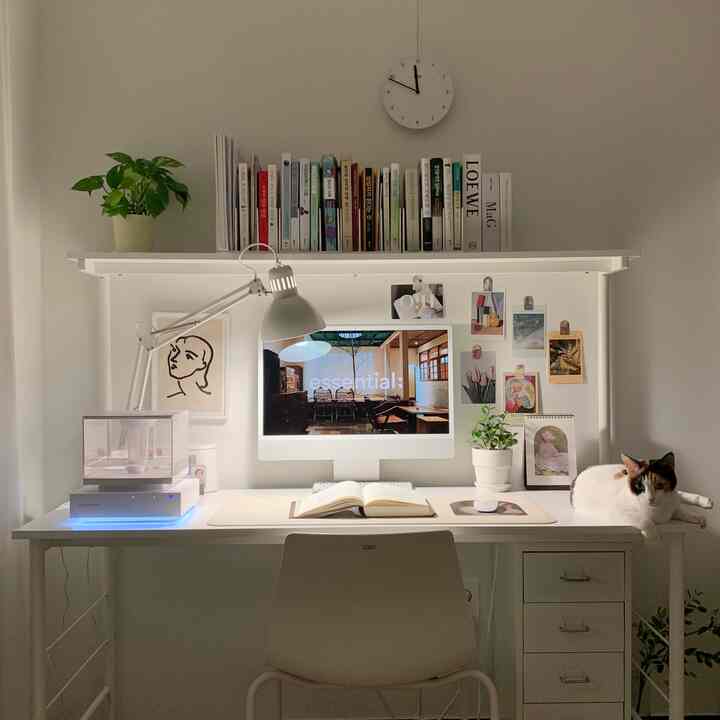 White-toned home office space featuring a tidy desk, plants, and a cat resting comfortably, creating a cozy atmosphere