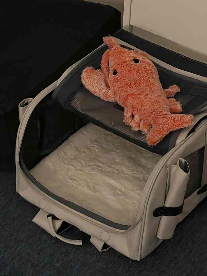 Beige cat carrier with an orange plush toy inside, pet accessory space