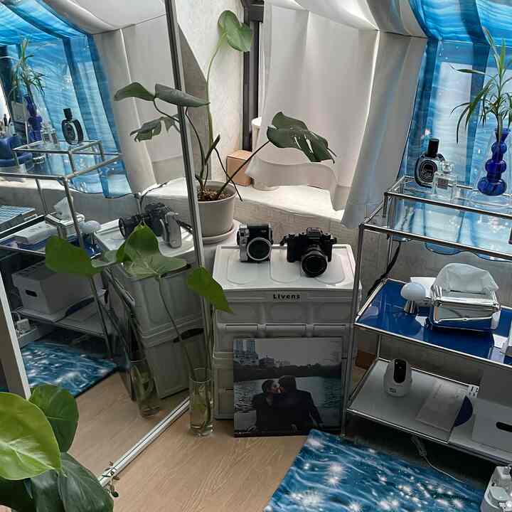White and blue tone window-side space featuring folding box and plants in a minimal interior