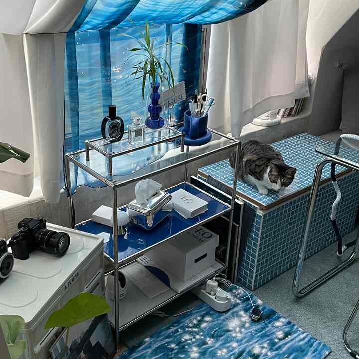 Blue-toned small space featuring shelves, curtains, and a cat by the window creating a cozy atmosphere