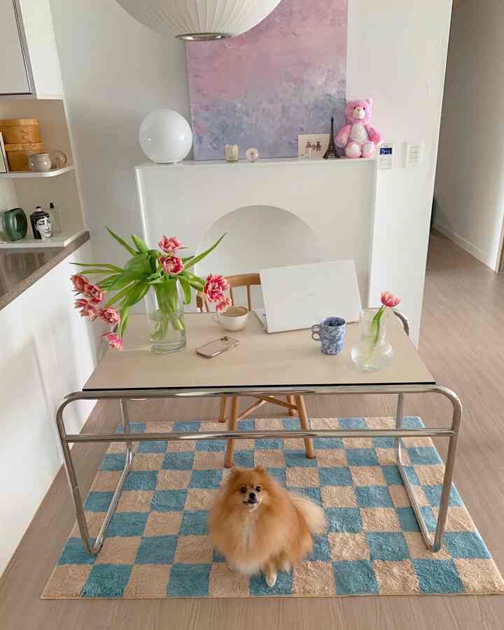 パステル調とナチュラル素材が調和したコンパクトなキッチンスペース、ステンレス製テーブルと犬がいる居心地の良いホームオフィスの雰囲気