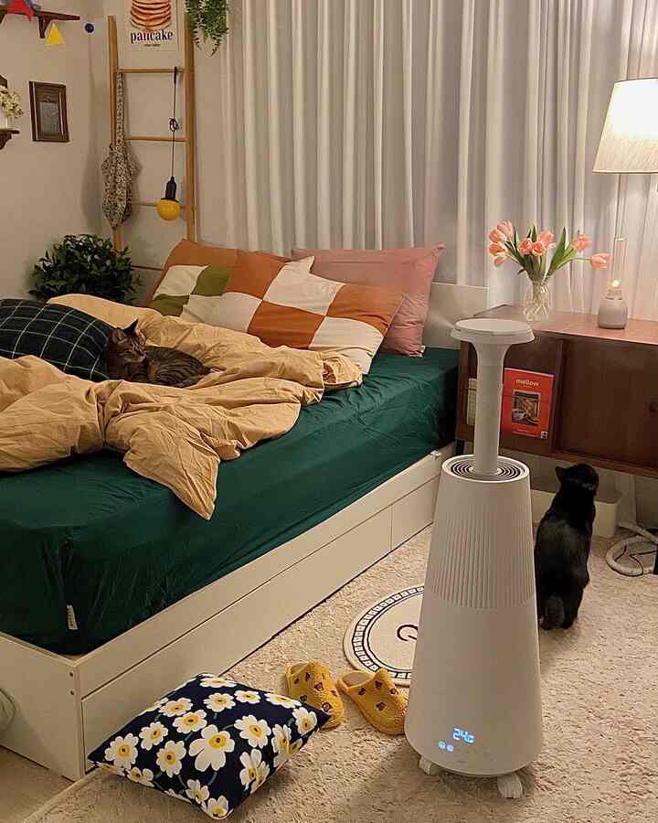 White and natural tone bedroom featuring a bed with cats, creating a warm and cozy atmosphere