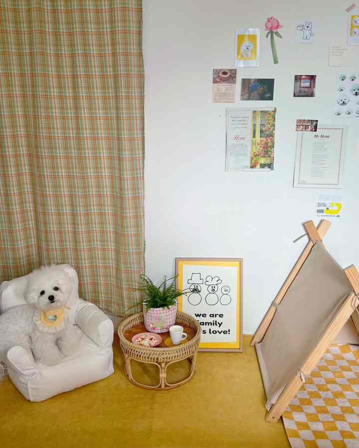 Yellow-toned cozy photo zone featuring a small pet sofa and rattan stool