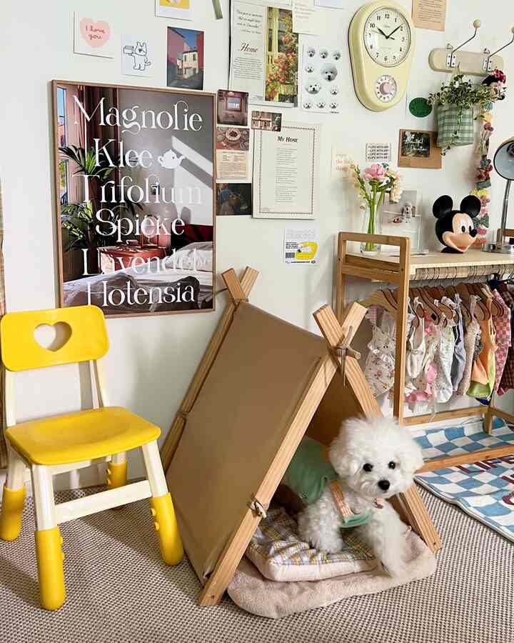 黄色い椅子とナチュラルな木目調家具が配置された、犬のいる温かみのあるリビング