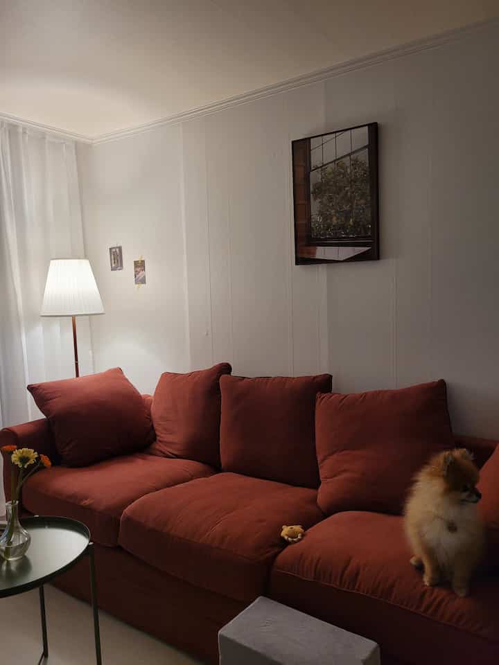 Living room with white walls and curtains, featuring a rust-orange sofa, floor lamp, and a small dog, creating a cozy atmosphere