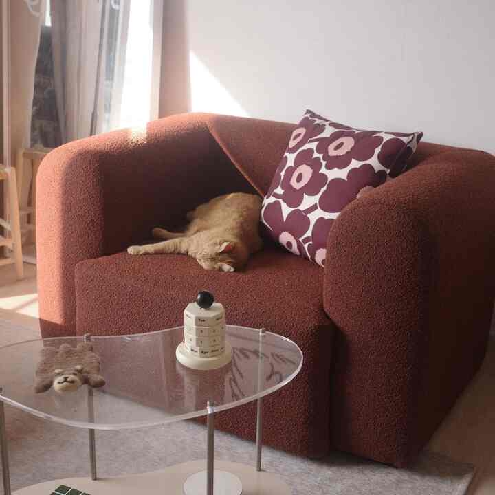Warm orange-toned living room featuring a large sofa with floral cushion and a cat resting comfortably, creating a cozy atmosphere