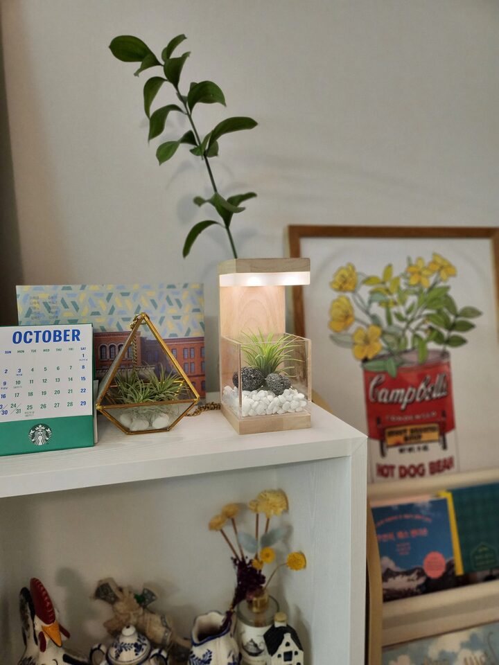 short form carousel card thumbnail