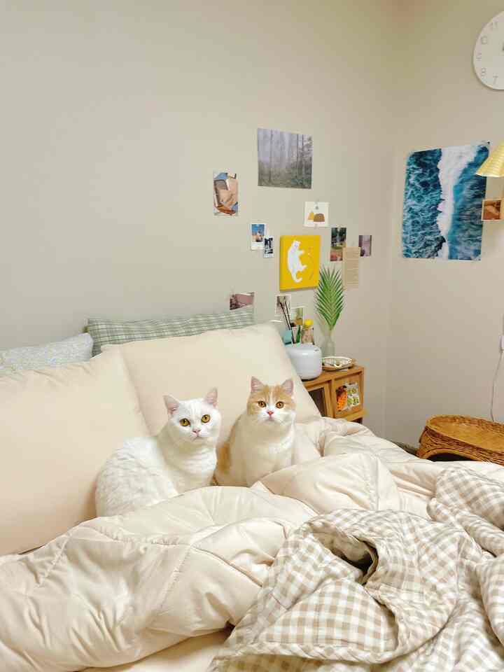 레레집사さんのインテリア実例写真