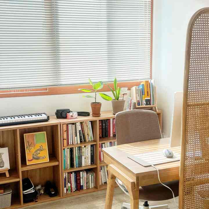 Natural-toned study with ivory walls and blinds, featuring wood bookshelves, plants, and a computer desk in a cozy atmosphere