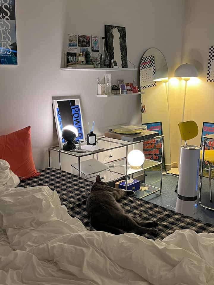 ホワイトとブラックのトーンのワンルーム寝室、ベッドと猫、照明、加湿器が配置された落ち着いた休憩スペース