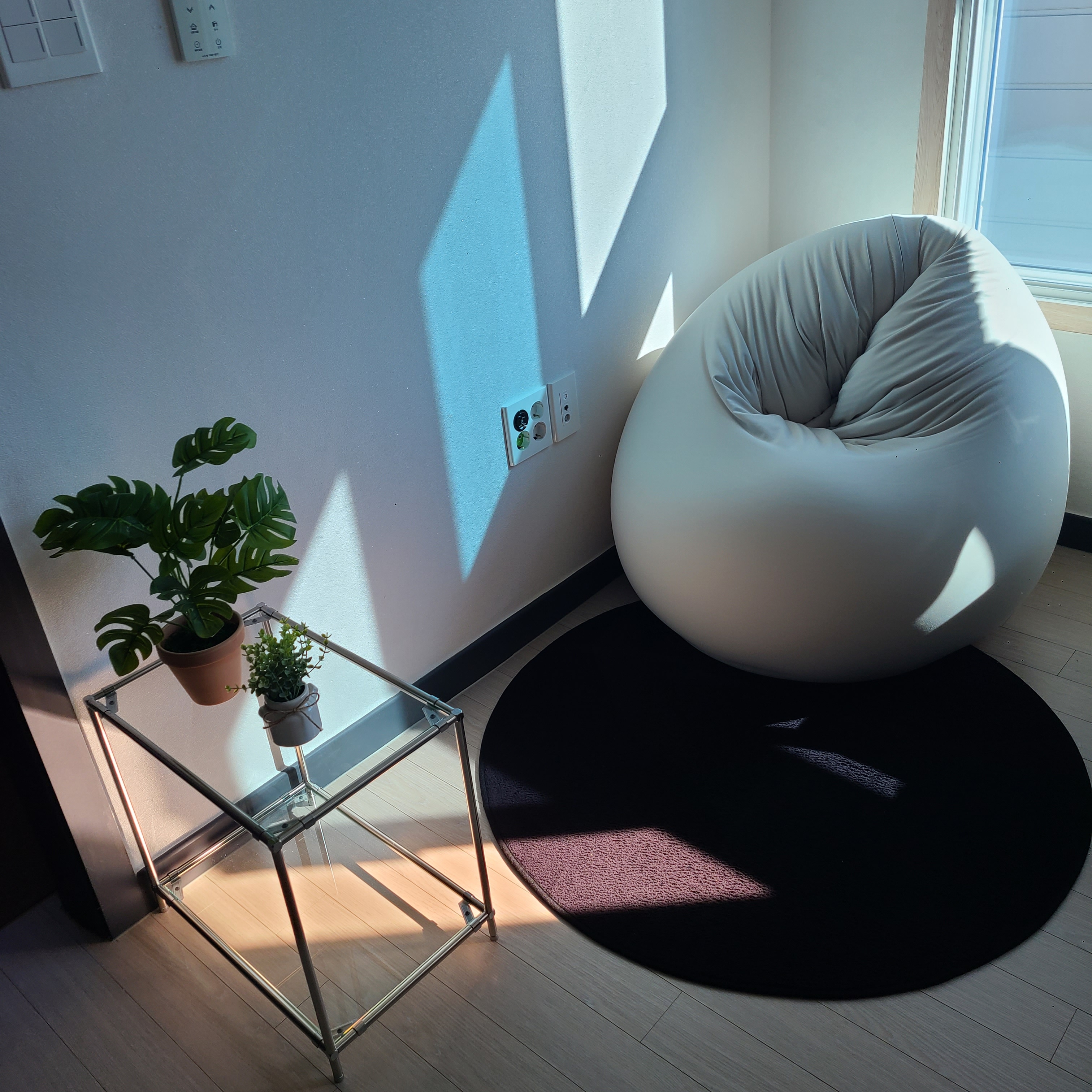 Pop Color Washable Round Rug user photo